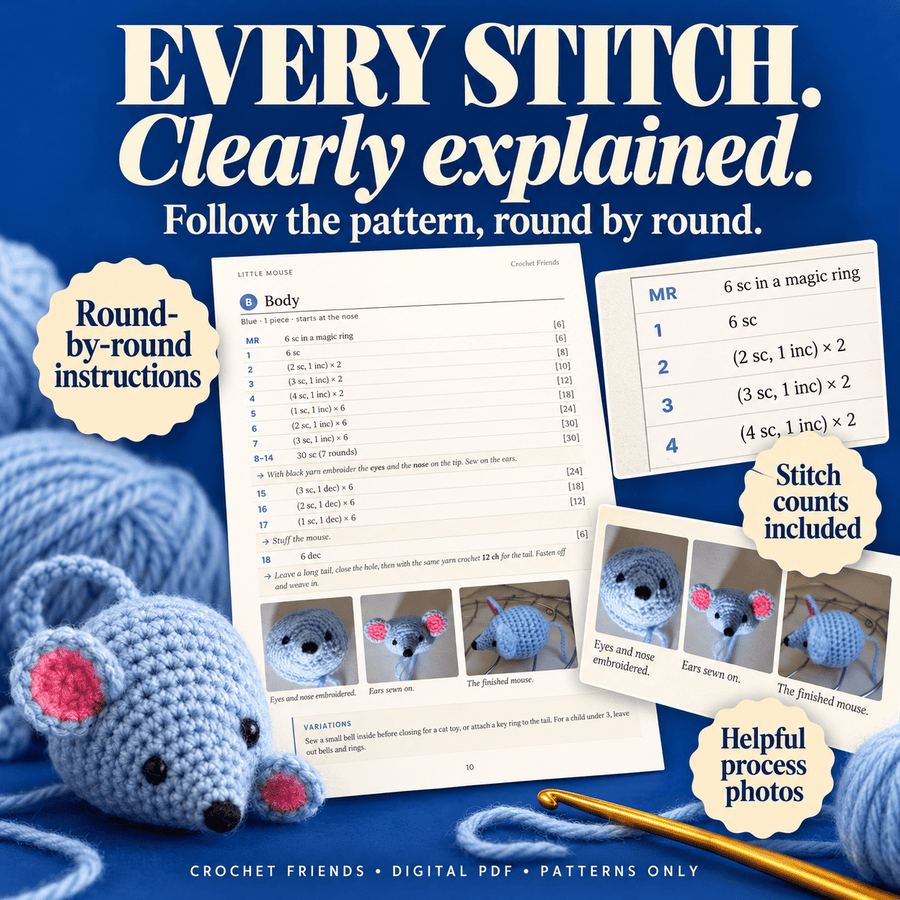 Follow Every Stitch with Clear, Illustrated Guidance